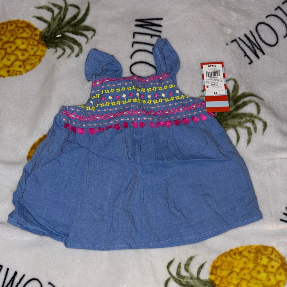 Blue Baby Sundress with Pink & Yellow Embroidery 2T